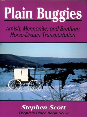 cover image of Plain Buggies